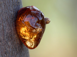 Perla di resina naturale