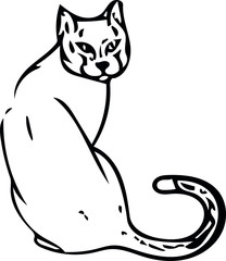 vector image of a cat