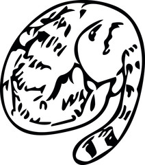 vector image of a sleeping cat