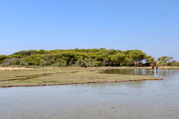 Rabbit Island (Isola dei Conigli) in Porto Cesareo, Lecce, Salento, Puglia, Italy