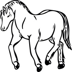 vector image of a horse in different angles