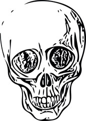 human skull vector illustration