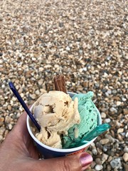 Portret of Icecrem with peble beach background