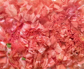 Sliced Pink Hibiscus Bloom Background