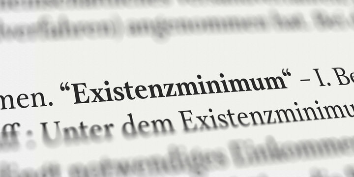 Existenzminimum im Buch