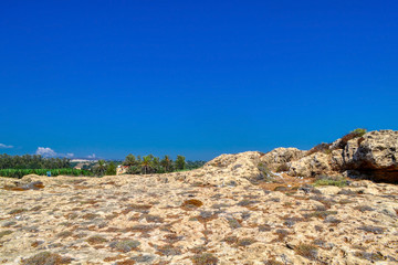 Rocks on the sea coast in the city of Paphos, Cyprus.  View of the yellow sand and stone cliffs with shallow desert vegetation and palm trees in the background.