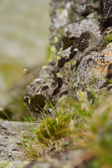Granite rocks on mountain
