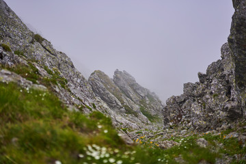 Alpine landscape, cloudy