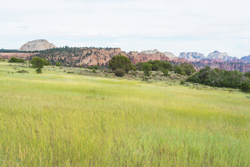 An overview of Kolob Canyon