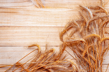 Wheat on table. Wheat grain ear or rye spike plant isolated on brown wood plank background, for...