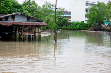 
Houses of people living on the shore