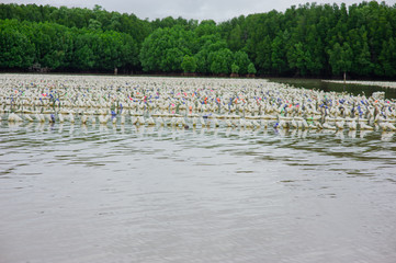 Fototapeta na wymiar Used plastic bottles are used for mussel farming.