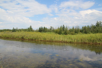 August On The Wetlands, Pylypow Wetlands, Edmonton, Alberta