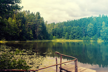 Very beautiful lake landscape with a view of the forest. Trees in front