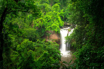 Plakat A terrific waterfall with severe water stream down from high cliff, surrounded by greenery rainforest jungle environment. Photo taken with long exposure for smoothed water line. 