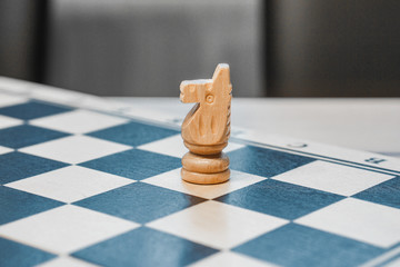 chessman knight on a chessboard