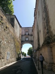 Rua da Feira da Ladra. Lisbon, Portugal 