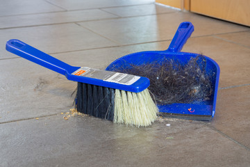 dustpan and brush with hair of a dog