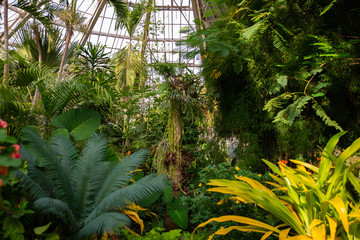 Vue d'une serre naturelle