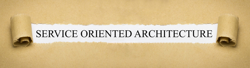Service Oriented Architecture