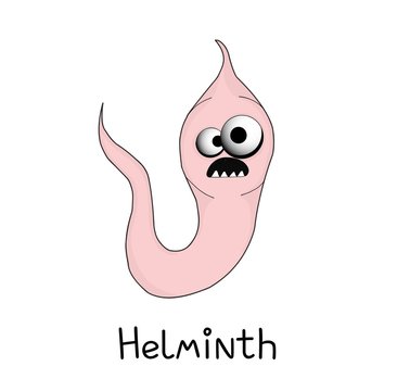 helminths, roundworms. intestinal parasites. warning sign parasitism , vector illustration. The concept of parasites in humans and humans.