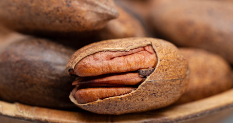 Pecan (Carya illinoinensis) is a species of hickory native to northern Mexico. The seed is an edible nut.