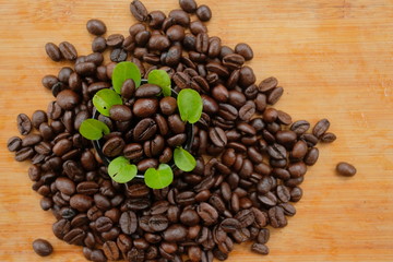 Coffee beans in the cup and leaves