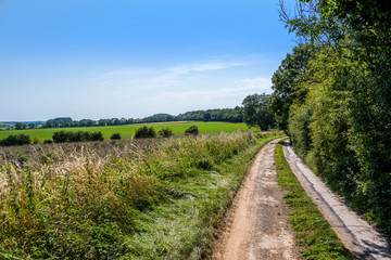 Fototapeta premium Cotswolds scenery and agricultural landscape England UK
