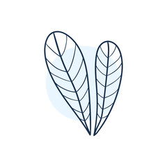 Hand Drawn Minimalistic and Floral Template for photographer, fashion blogger, design studio, interior design. Branding identity collection . Floral feminine element. flowers clipart