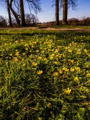 Obraz premium Cotswolds scenery and agricultural landscape England UK
