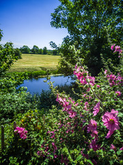 Fototapeta premium Cotswolds scenery and agricultural landscape England UK