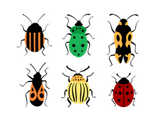 Beetles hand drawn collection. Cute decorative bugs isolated on white background. Vector illustration.