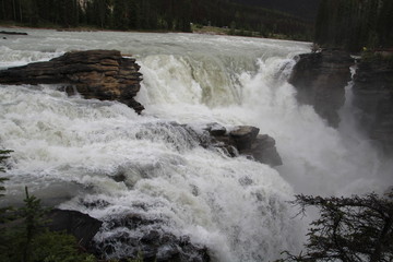 Thunder Of The Athabasca Falls, Jasper National Park, Alberta