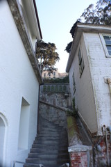 Alcatraz