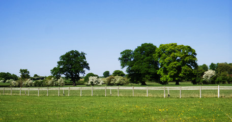 Cotswolds scenery and agricultural landscape England UK