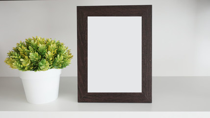 small tree in white pot with wood frame on white wood background