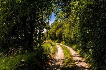 Cotswolds scenery and agricultural landscape England UK
