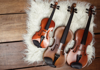 Three violins put on background,show detail and different size of acoustic instrument