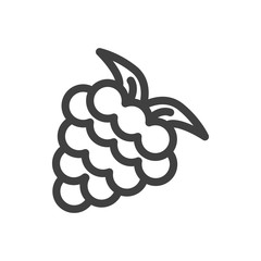 Grapes icon. A bunch of grapes. Simple minimalistic image. Isolated vector on white background.