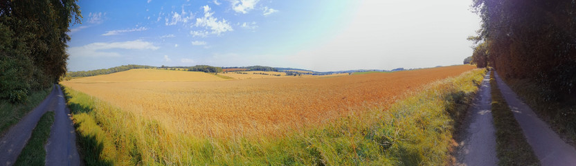 Cotswolds scenery and agricultural landscape England UK