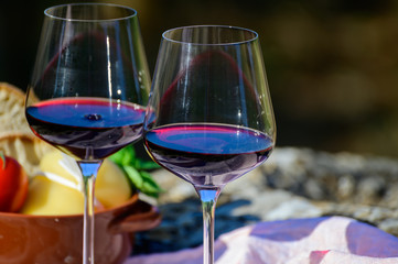 Summer picnic or outdoor tasting of red wine on vineyards in Lazio, Italy
