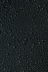 Water droplets on black background. Close-up photo of small water drops on black background.