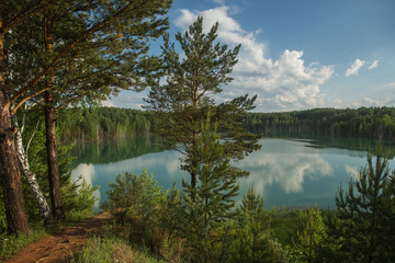 forest lake landscape. View of the blue lake forest