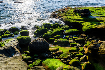 Coastal reef with algae in New Taipei, Taiwan