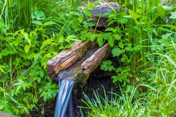 natural spring, source of clean water