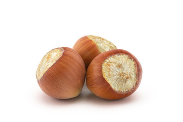 Hazelnuts on White Background