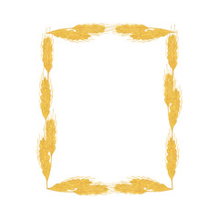 Yellow wheat spikelets rectangular frame watercolor illustration for harvest time autumn celebrations arrangement, seasonal healthy vegetarian diet, simple hand drawn ornament