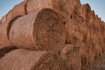 A lot of stacked hay roll bales.