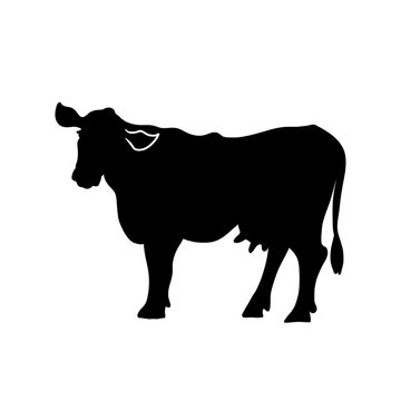 Milk cow silhouette. Farm vector logo.
