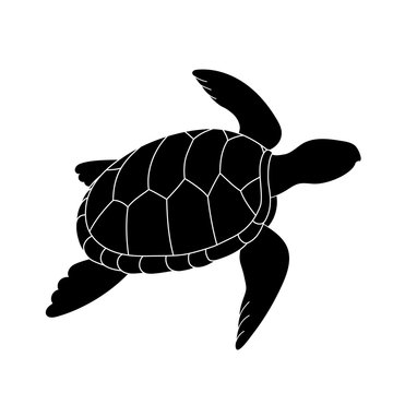 Vector icon - sea turtle on a white background. Reptile. Doodle animals. Vector symbol in black outline style. Cartoon icon turtle in  black monochrome.